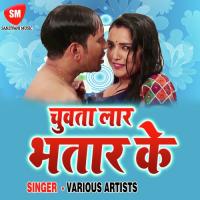 Rang Dalab Bhitari Sunil Super Fast Song Download Mp3