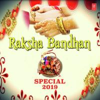 Rakhi Ke Bandhana Sheetal Chauhan Song Download Mp3