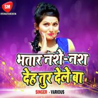 Bartiye Me Mar Hoi Khushboo Sharma Song Download Mp3