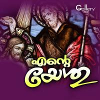 Poongavanathile Sherdin Thomas Song Download Mp3