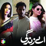 Aey Zindagi (Slow Version) Nabeel Shaukat Ali,Aima Baig Song Download Mp3