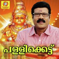 Pallikettu Kalabhavan Mani Song Download Mp3