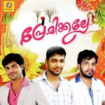 Premikkalle Saleem Kodathoor Song Download Mp3