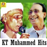 Ummante Kanneeru A.V. Mohammed Song Download Mp3