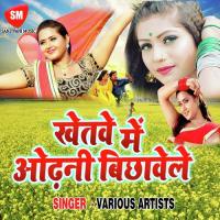 Chahi Neta Tejaswi Jaisa Makai Lal Yadav Song Download Mp3