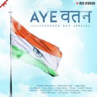 Saare Jahan Se Aachha Niraj Parikh Song Download Mp3