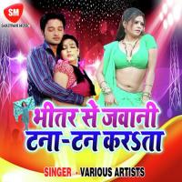 Bhitar Se Jawani Tana Tan Karta Sunil Rathore Song Download Mp3