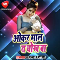 Tora Joban Me Sikayet Aail Poliyo Ke Dipu Singh Rathor Song Download Mp3