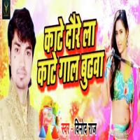 Kaate Doure La Gaal Budhwa Vinod Raj Song Download Mp3