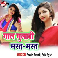 Sun Sun Ye Kareja Pravin Premi Song Download Mp3