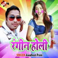 Rangwa Lagaib Tohra Palt Par Awadhesh Premi Song Download Mp3