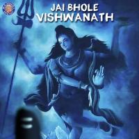 Rudram Namakam Vighnesh Ghanapaathi,Gurumurthi Bhat,Shridhara Bhat Song Download Mp3