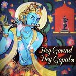 Hey Govind Hey Gopal Rajalakshmee Sanjay Song Download Mp3