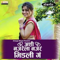 Ashi Najarela Najar Bhidli Ga Raju Tayade Song Download Mp3