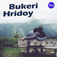 Bukeri Hridoyke Churi Kore Niyechho Sayam Paul Song Download Mp3