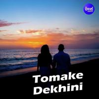 Tomake Dekhini Subhasree Debnath Song Download Mp3