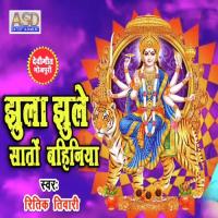 Jhula Jhule Saato Bahiniya Ritik Tiwari Song Download Mp3