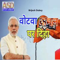 Votwa Kamal Par Diha Brijesh Dubey Song Download Mp3