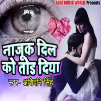 Najuk Dil Ko Tod Diya Ashiwini Singh Song Download Mp3