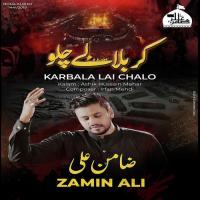 Karbala Main Jo Huwa Toone Kabhi Socha Nahi Zamin Ali Song Download Mp3