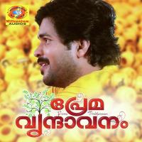 Ennepadachathum Shafi Kollam Song Download Mp3