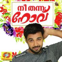 Akannu Ni Marayanengil Saleem Kodathoor Song Download Mp3