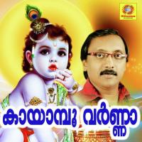 Sree Guruvayooril Sreelakathallo Gane Sundaram Song Download Mp3