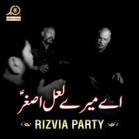 Aye Mere Lal Asghar Rizvia Party Song Download Mp3