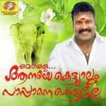 Kannimanga Prayathil Kalabhavan Mani Song Download Mp3