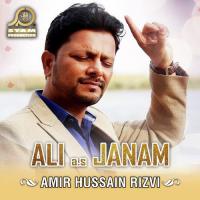 Shah Bolay Sakina Say Amir Hussain Rizvi Song Download Mp3