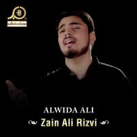 Karbala Har Aik Azadar Zain Ali Rizvi Song Download Mp3