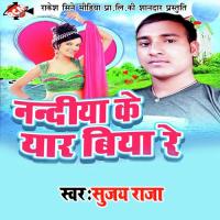 Bhulai Ke Sujay Raja Song Download Mp3