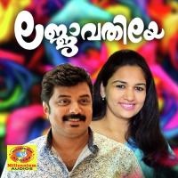 Koottu Pirinhu Sindhu Song Download Mp3