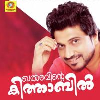 Palanu Thenannu DR.Vimal Kumar Song Download Mp3