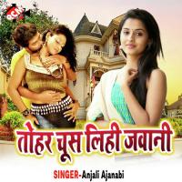 Kahe Hamke Bhula Gaila Raja Anjali Ajanbi Song Download Mp3