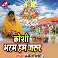 A Saiya Abki Ke Chhath Karab Ho Bhai Ranjan Lal Yadav Song Download Mp3