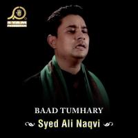 Roza Rakha Karo Syed Ali Naqvi Song Download Mp3