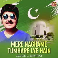 Mere Naghame Tumhare Lye Hain Adeel Barki Song Download Mp3