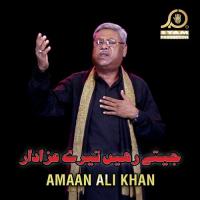 Parcham E Abbas Zargham Amaan Ali Bangash Song Download Mp3