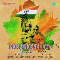 Mamalakalkkapurathu (From "Ninamanija Kalpadukal") P. B. Sreenivas Song Download Mp3