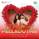 Gundellona Tholiche S.P. Balasubrahmanyam,K. S. Chithra Song Download Mp3