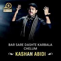 Bar Sare Dashte Karbala Chelum Kashan Abidi Song Download Mp3