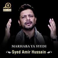 Taboot Uth Raha Hai Syed Amir Hussain Song Download Mp3