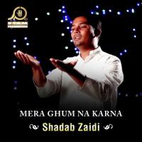 Mera Ghum Na Karna Shadab Zaidi Song Download Mp3