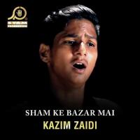 Bain Karti Hai Qasim Ki Maa Kazim Zaidi Song Download Mp3