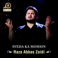 Baba Ki Batain Raza Abbas Zaidi Song Download Mp3