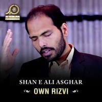 Ya Imam E Jaffar E Sadiq Own Rizvi Song Download Mp3