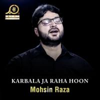 Sajjad Kaho Farman Hai Kya Mohsin Raza Song Download Mp3