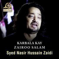 Tanha Khari Hai Dasht Mai Syed Nasir Hussain Zaidi Song Download Mp3