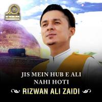 Zainab E Dilgeer Ka Haider Ka Lahja Rizwan Ali Zaidi Song Download Mp3